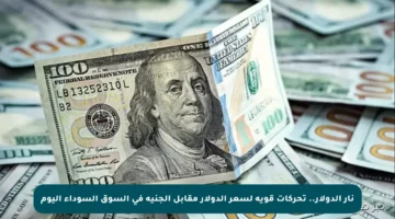 نار الدولار.. تحركات قوية لسعر الدولار مقابل الجنيه في السوق السوداء اليوم